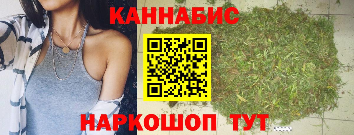Бошки Шишки VHQ  Бошки Шишки план  Вход с VPN  Кострома  Бошки Шишки планчик 